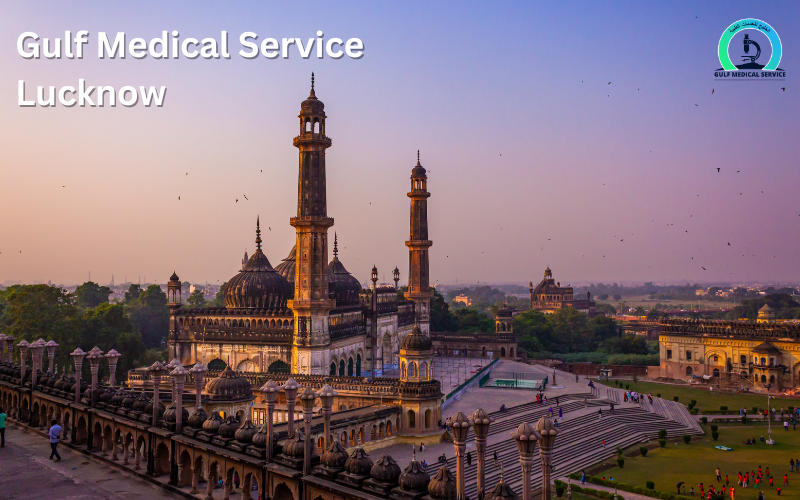 Gulf Medical Service Lucknow