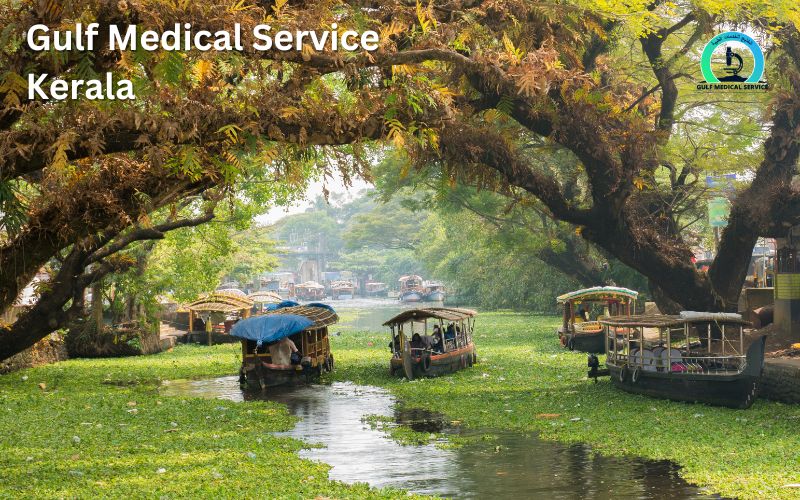 Gulf Medical Service Kerala